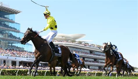 melbourne cup betting tips|Melbourne Cup Betting Guide, Odds, Tips & Free .